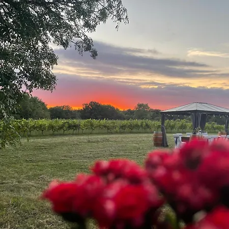 Hotel Bordeaux Château Lafleur Quinsac (Gironde)