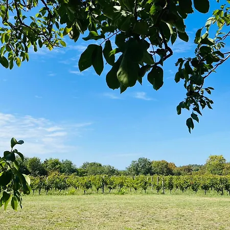 Bordeaux Château Lafleur * Quinsac (Gironde)