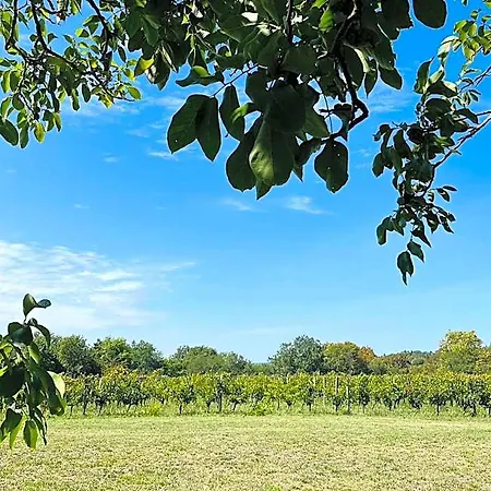 Bordeaux Chateau Lafleur * Quinsac (Gironde)