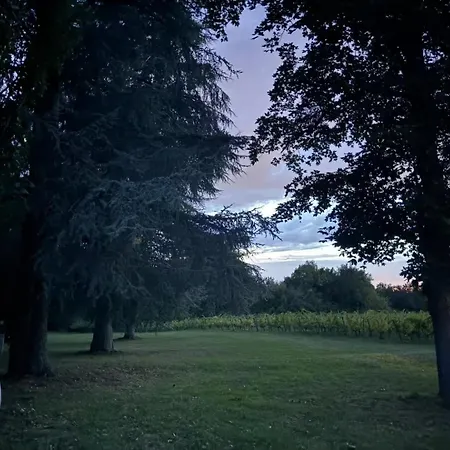 Bordeaux Château Lafleur Hotel