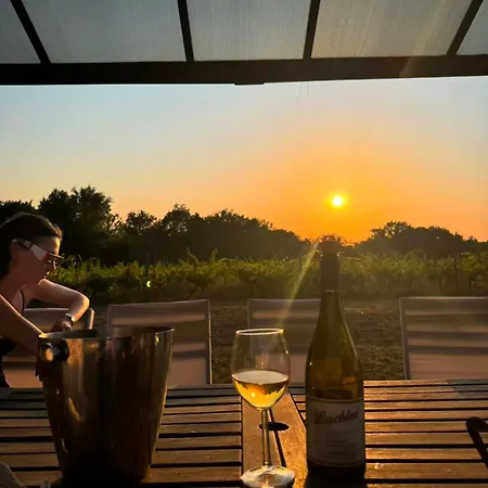 Bordeaux Château Lafleur Hotel