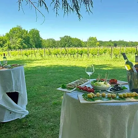 Hotel Bordeaux Chateau Lafleur *