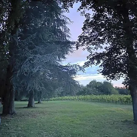 Bordeaux Chateau Lafleur * Quinsac (Gironde)
