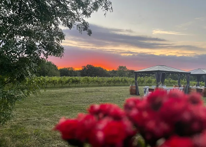 Hotel Bordeaux Château Lafleur Quinsac (Gironde)